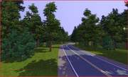 Near Palomino Creek