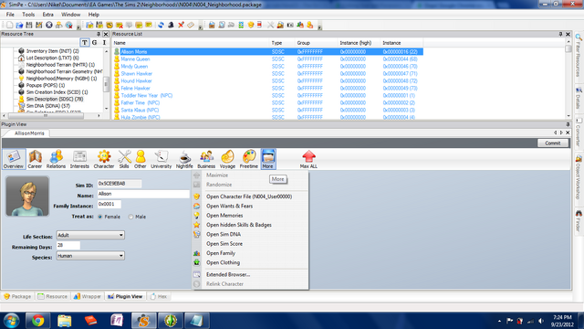 File:SimPE UI.png