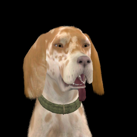 File:Buckley Bedlington.png