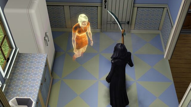 File:Orangeghost post-fire.jpg
