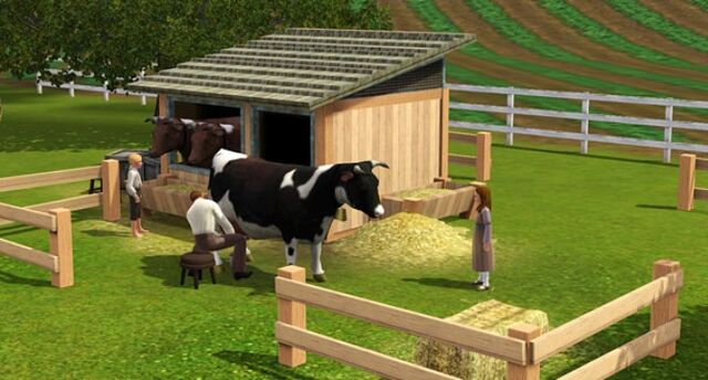 File:Cow slider.jpg