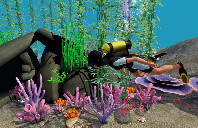 File:Scuba diving island paradise.jpg