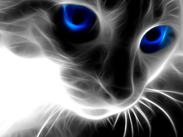 File:Spell-Caster's Second Avatar.jpg