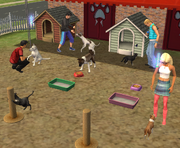 Ts2 pets pagecover image