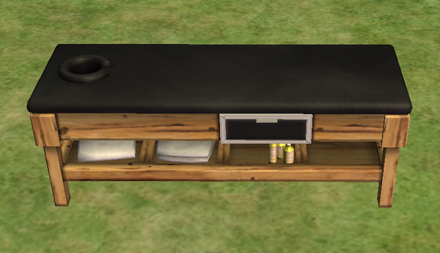 File:Ts2 soft'n'tender massage table.png
