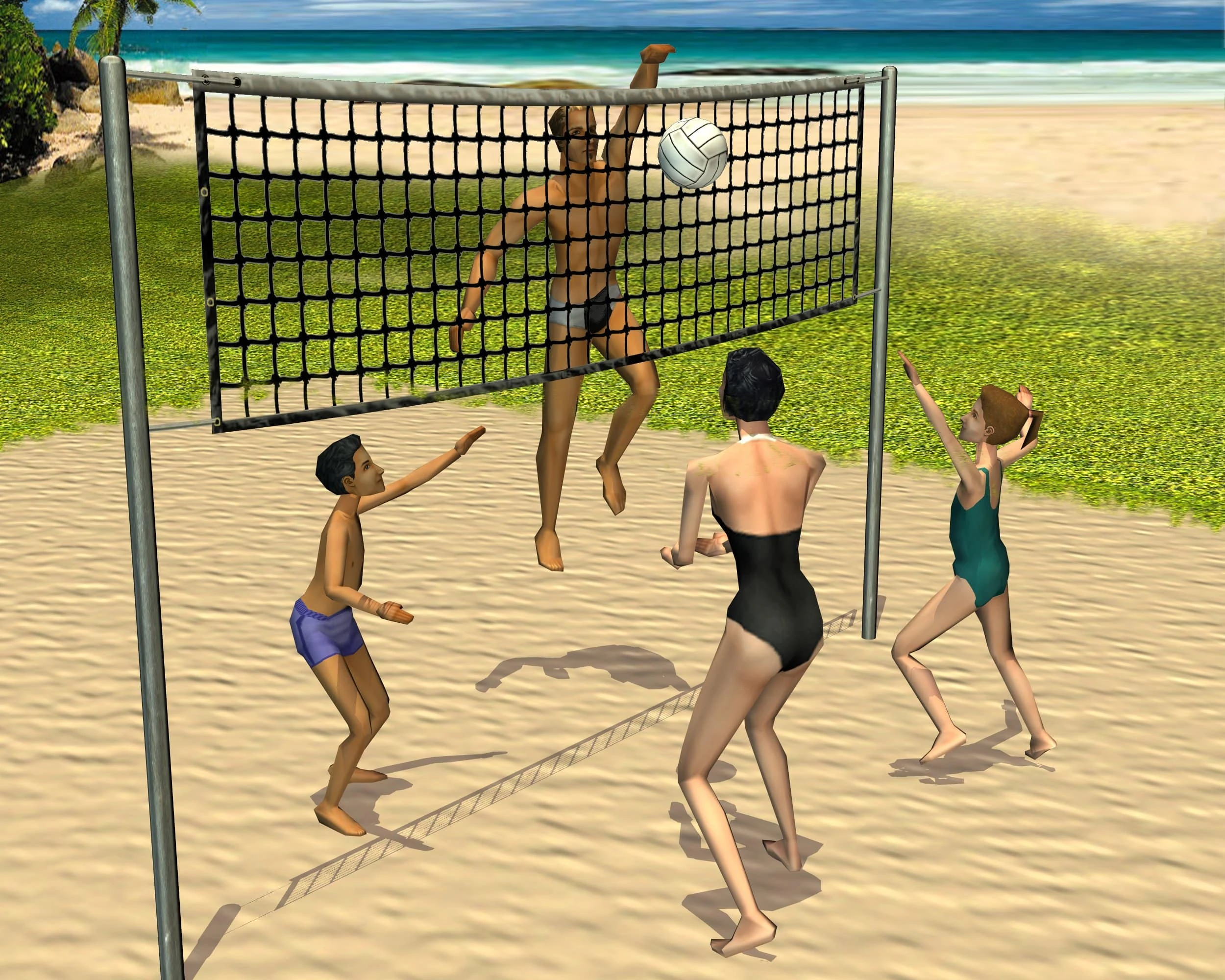 Volleyball court The Sims Wiki FANDOM powered by Wikia