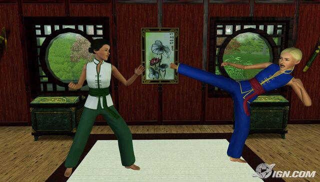 File:Training.jpg