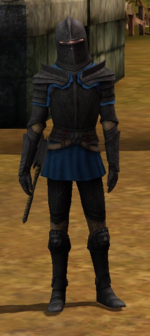 File:Darkstone bulwark male.png