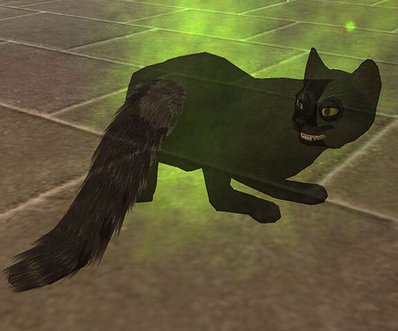 File:SpectralCat.jpg