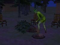 Moss digging