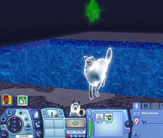 File:White ghostdog.png