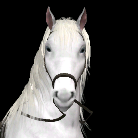 File:Marney Martingale.png
