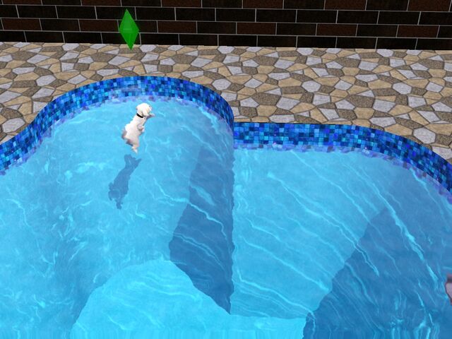 File:Fresno swim.jpg
