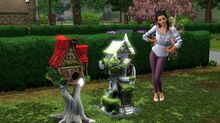 Fairy houses.jpg