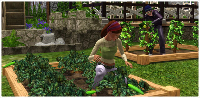 File:Mill set harvestables.jpg