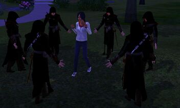 Rosa Surrounded