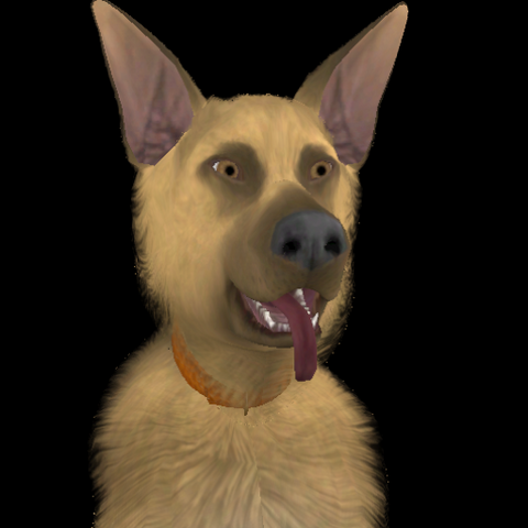File:Ralston Schmidt.png