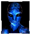 Thumbnail for version as of 03:00, January 29, 2010