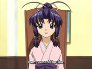 Haruka KIMONO PROTECTOR