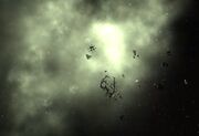 LeopardNebula