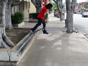 Fadangle Grind