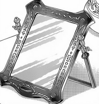 Lory's mirror