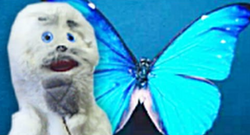 Finstorya