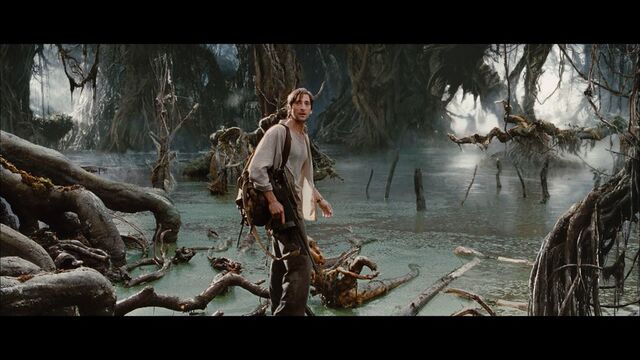File:Jack next to swamp.jpg