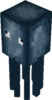 Squid