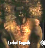 Lorbul