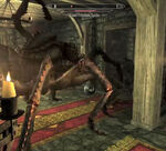 Farkas spider