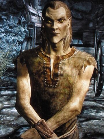 Ficheiro:Race high elf.jpg