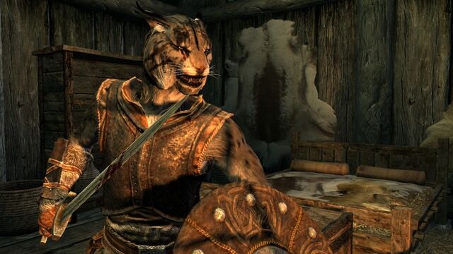 Ficheiro:830px-Skyrim-khajiit-male.jpg