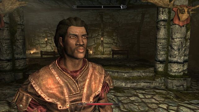 Ficheiro:Skyrimredguard.jpeg