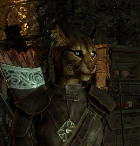 Ficheiro:Khajiit Fem.jpg
