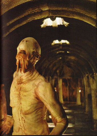 File:Panimage~12.jpg