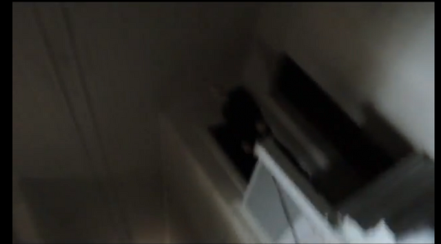 File:Picture 1.png