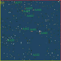 SI11
