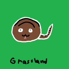 SS grassland