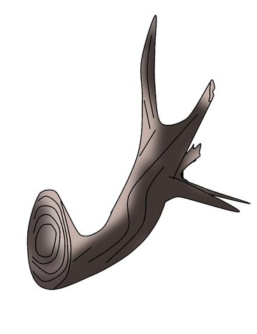 File:Bearded-tribe stick.png