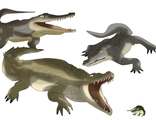 File:Bigtooth tribe.png