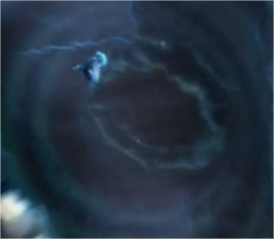File:SS action.png
