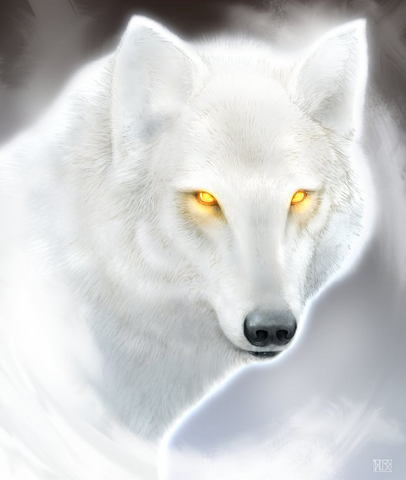 Plik:N. wolf.png