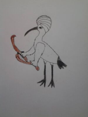 Ibis