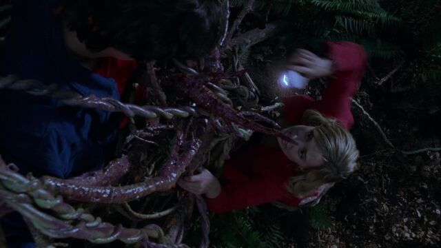 File:603Smallville0923.jpg