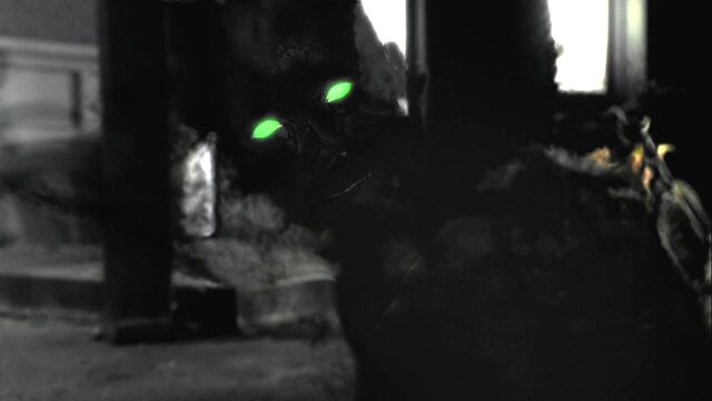 File:806Smallville0945.jpg