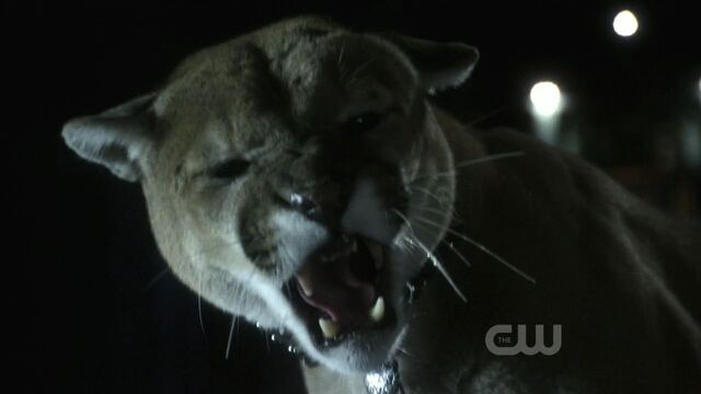 File:908Smallville0301.jpg