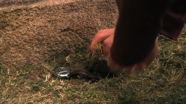 File:1004Smallville1517.jpg