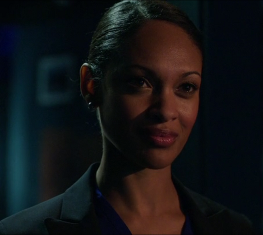 File:Amanda Waller (Arrow) 002.png