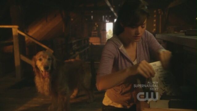 File:S10ep8-0380.jpg